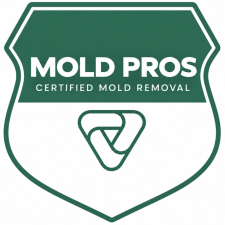 Mold Pros